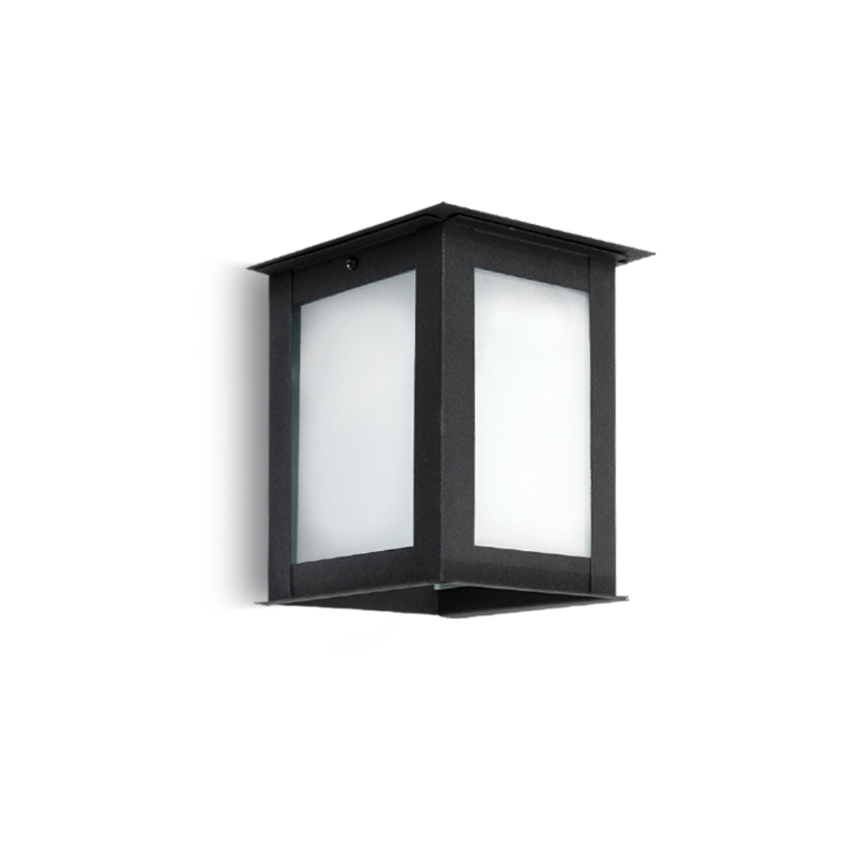 FAROL DE PARED 1L VIDRIO ESMERILADO