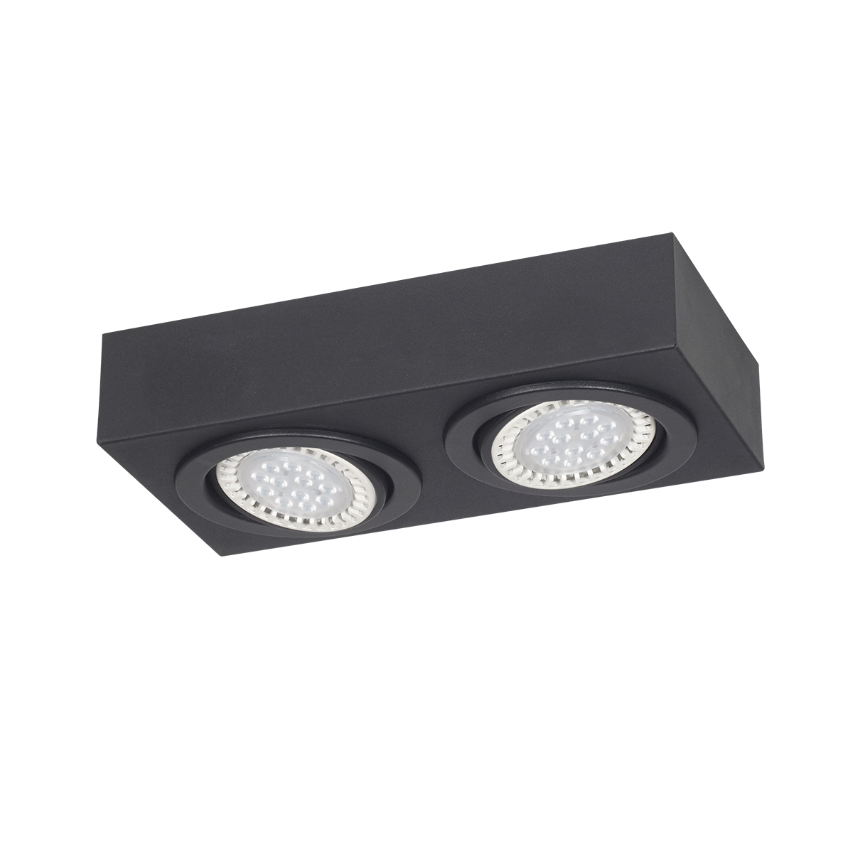 PLAFON 2 LUCES MOVIL