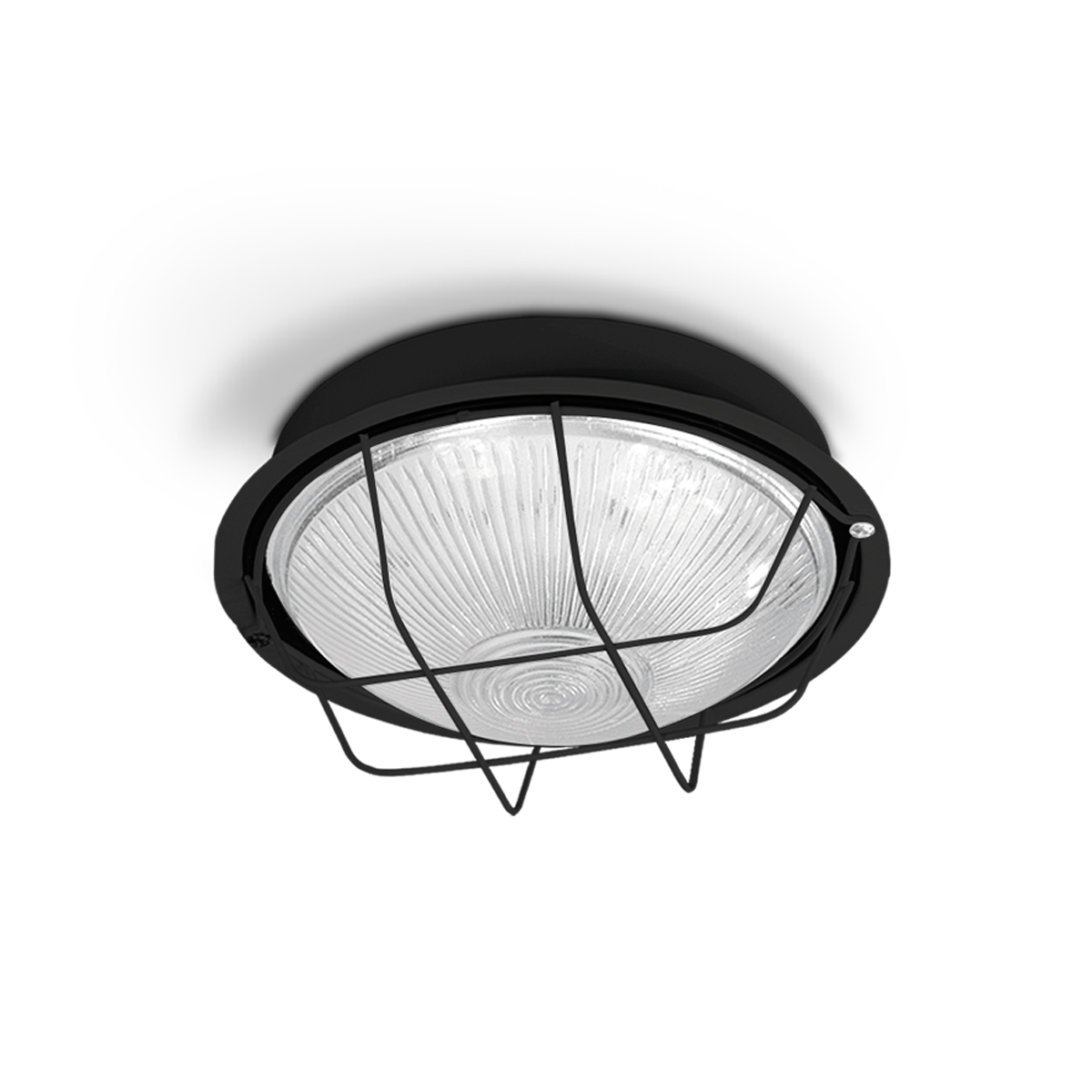 TORTUGA REDONDA GRAMDE